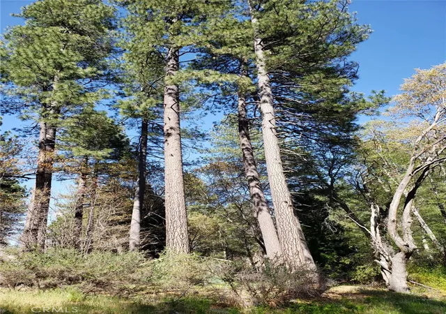 1st image of 29531 Little Bear Creek Rd, Cedar Glen, CA 92321 | MLS# WS26040295