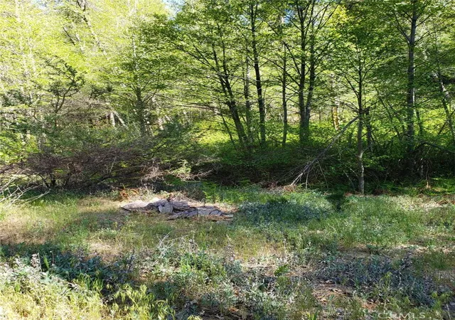 2nd image of 29531 Little Bear Creek Rd, Cedar Glen, CA 92321 | MLS# WS26040295
