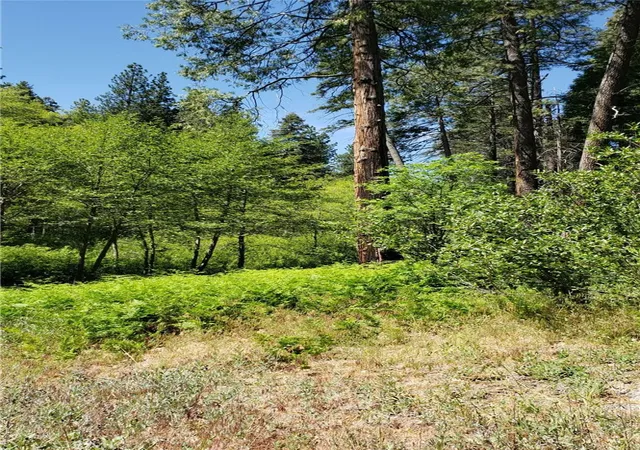 3rd image of 29531 Little Bear Creek Rd, Cedar Glen, CA 92321 | MLS# WS26040295