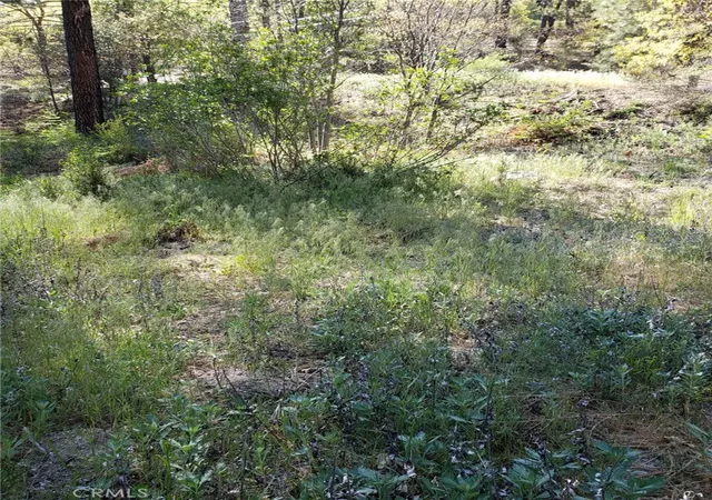 4th image of 29531 Little Bear Creek Rd, Cedar Glen, CA 92321 | MLS# WS26040295