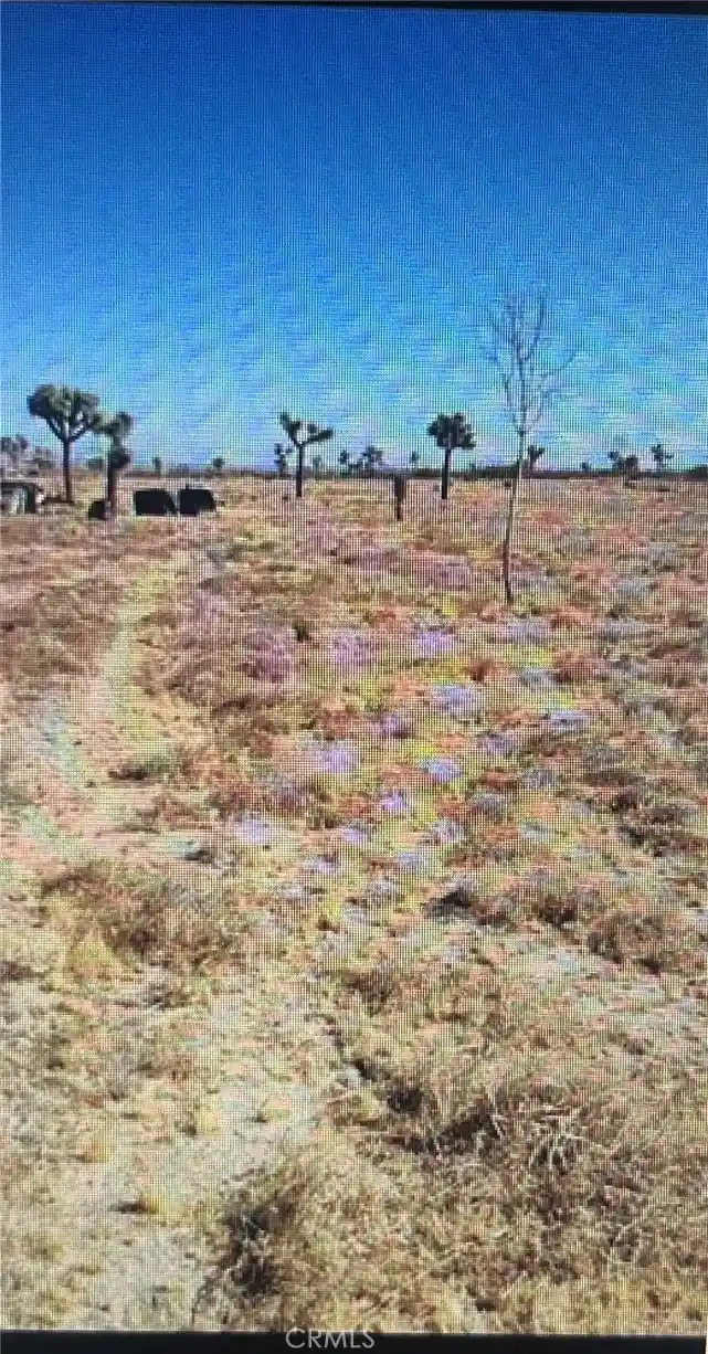 Photo 1 of Land for sale at 6800 South St, Phelan, CA 92371 | MLS# IV26040383 | Listing updated on 2026-08-21