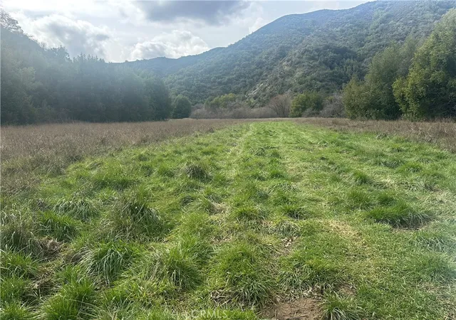 image of 9000 Scotts Valley Rd, Upper Lake, CA 95485 | MLS# LC26040442