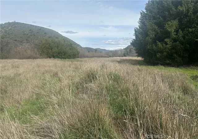 image of 9000 Scotts Valley Rd, Upper Lake, CA 95485 | MLS# LC26040442