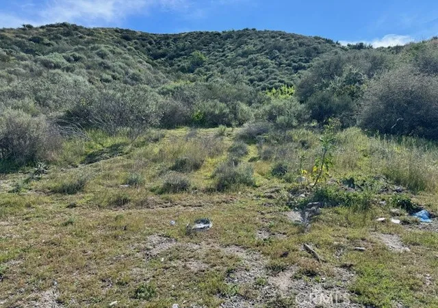 2nd image of 17930 Scherzinger Ln, Canyon Country, CA 91387 | MLS# SR26040570