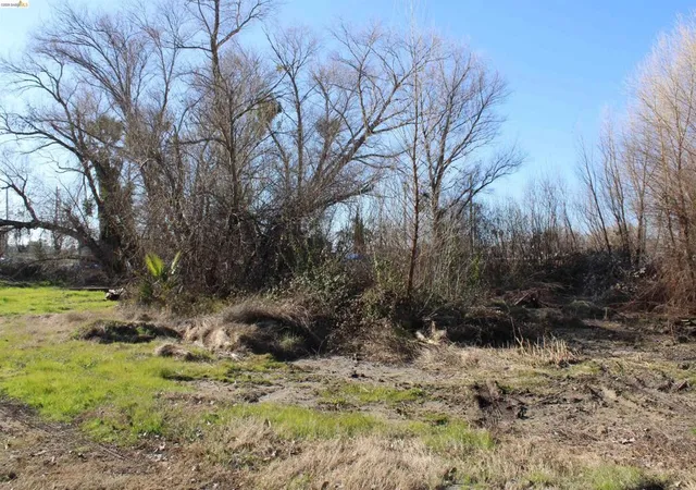 3rd image of 412 412 Park Ln, Bethel Island, CA 94511 | MLS# 41125005