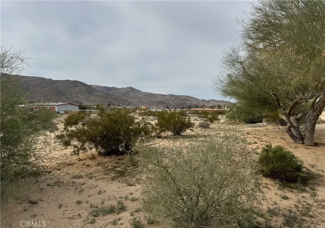 Homes for sale in Twentynine Palms, CA | 0 Joshua Dr, Twentynine Palms, CA 92277 | MLS# JT26041831