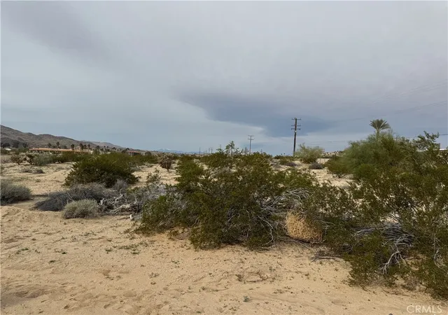 Homes for sale in Twentynine Palms, CA | 0 Joshua Dr, Twentynine Palms, CA 92277 | MLS# JT26041831