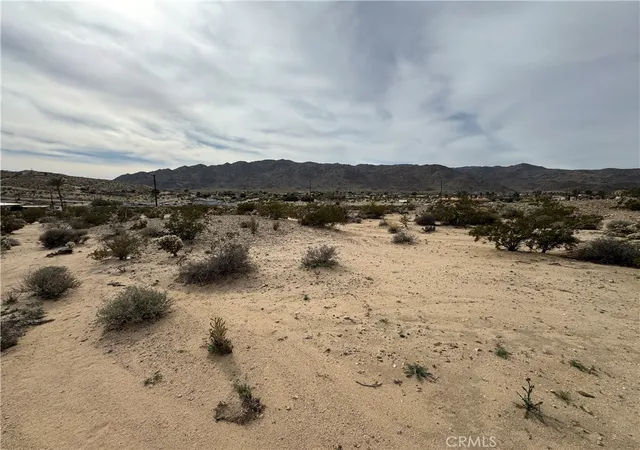 Homes for sale in 29 Palms, CA | 0 Gorgonio Dr, 29 Palms, CA 92277 | MLS# JT26041841