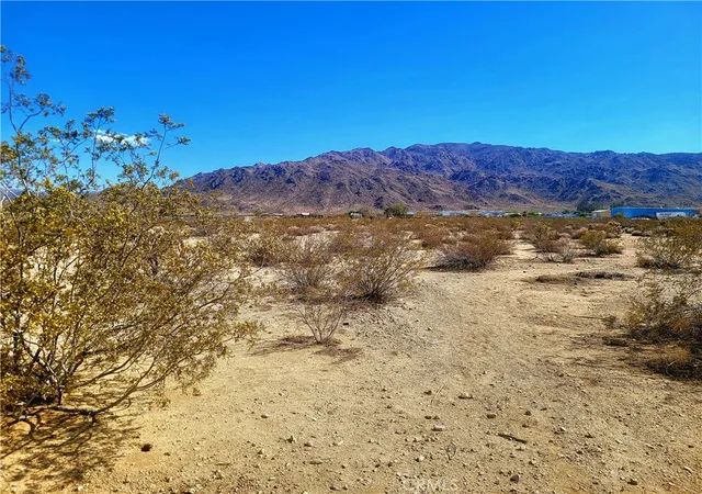 5th image of 0 Old Dale Rd, Twentynine Palms, CA 92277 | MLS# JT26042014