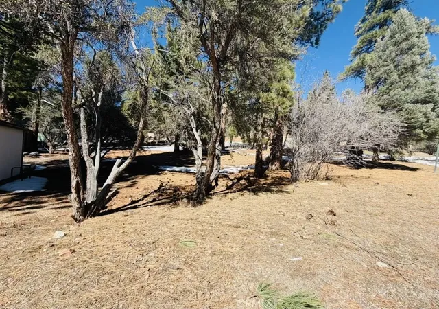 3rd image of 808 Antelope Mountain, Big Bear City, CA 92314 | MLS# IG26043055