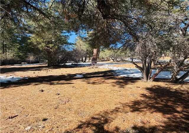 4th image of 808 Antelope Mountain, Big Bear City, CA 92314 | MLS# IG26043055