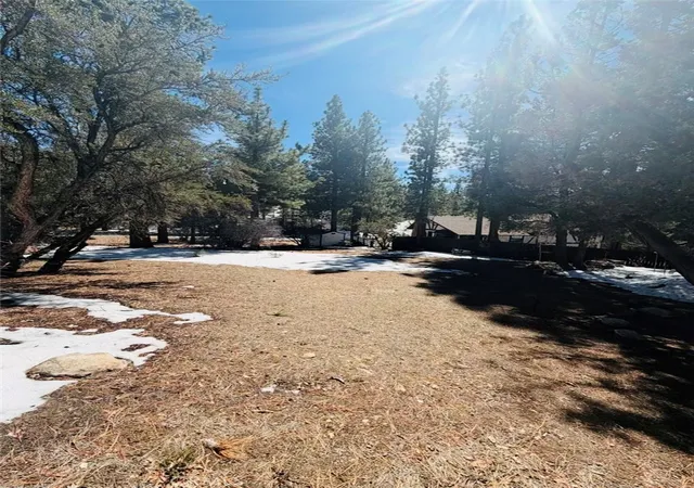 6th image of 808 Antelope Mountain, Big Bear City, CA 92314 | MLS# IG26043055