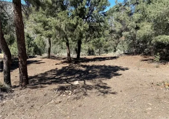 Homes for sale in Pine Mountain Club, CA | 2217 Saint Bernard Dr, Pine Mountain Club, CA 93222 | MLS# SR26043588