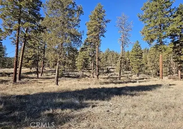 1st image of 0 0, Dorris, CA 96023 | MLS# PW26037026