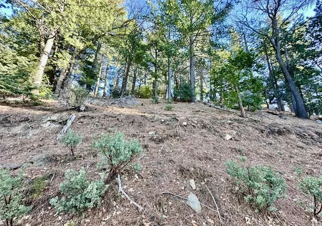 Photo 3 of Land for sale at 0 Green Craig, Idyllwild, CA 92549 | MLS# 219143977DA | Listing updated on 2026-05-19