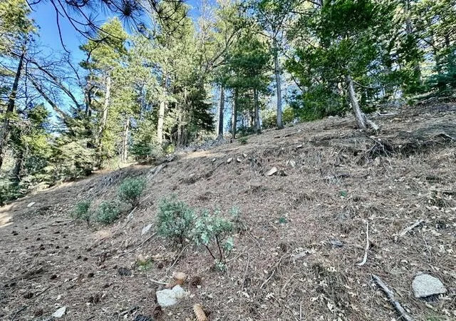 Photo 3 of Land for sale at 0 Green Craig, Idyllwild, CA 92549 | MLS# 219143977DA | Listing updated on 2026-05-19