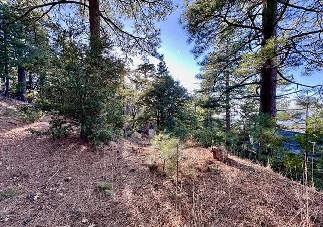 Photo 4 of Land for sale at 0 Green Craig, Idyllwild, CA 92549 | MLS# 219143977DA | Listing updated on 2026-05-19