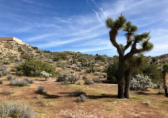 5th image of 57296 Manzanita, Yucca Valley, CA 92284 | MLS# NP26044405