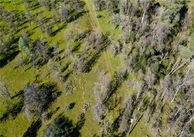 3rd image of 17229 Treat Avenue, Anderson, CA 96007 | MLS# SN26044839