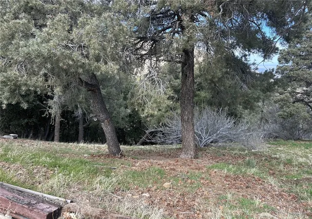 1st image of 0 Orchard, Wrightwood, CA 92397 | MLS# HD26045010