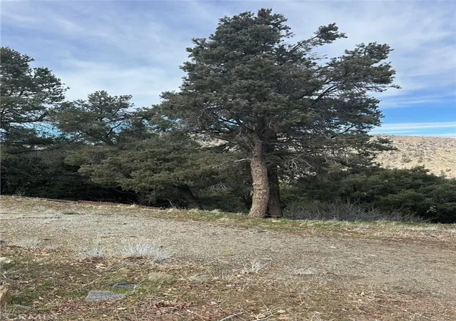 2nd image of 0 Orchard, Wrightwood, CA 92397 | MLS# HD26045010