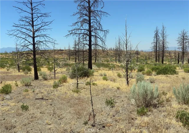 2nd image of 0 Juniper Valley, Weed, CA 96094 | MLS# OR26045027