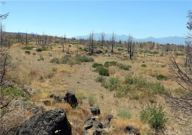 3rd image of 0 Juniper Valley, Weed, CA 96094 | MLS# OR26045027