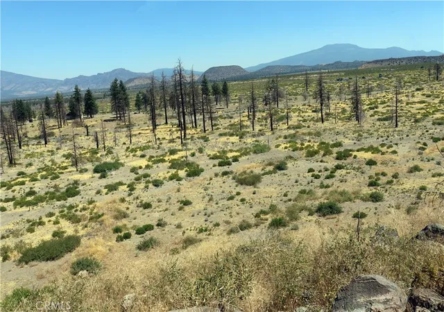 4th image of 0 Juniper Valley, Weed, CA 96094 | MLS# OR26045027