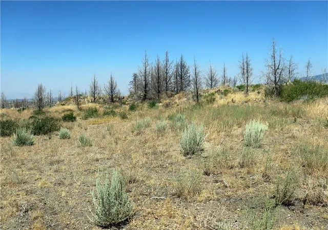 5th image of 0 Juniper Valley, Weed, CA 96094 | MLS# OR26045027