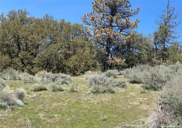 Photo 1 of Land for sale at 25301 Paramount, Tehachapi, CA 93561 | MLS# SR26045405 | Listing updated on 2026-03-02