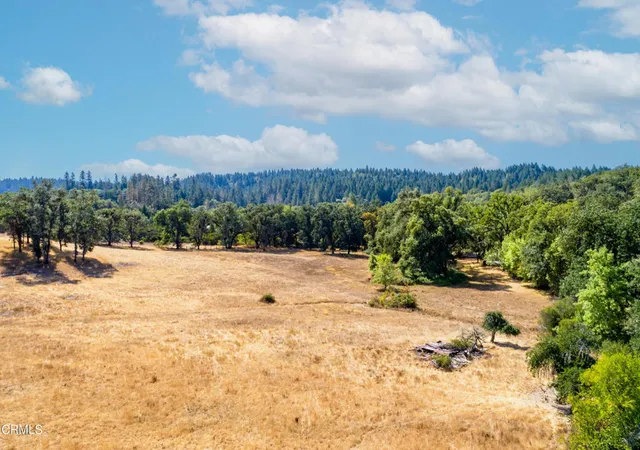 Homes for sale in Willits, CA | 18300 Walker Rd, Willits, CA 95490 | MLS# C1-11278