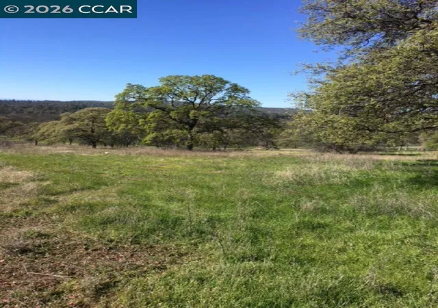 7th image of 56 56 Deer Hollow Trail, Browns Valley, CA 95918 | MLS# 41125751