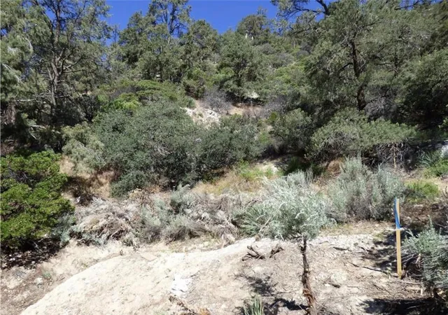 2nd image of 0 Escolon Trl, Frazier Park, CA 93225 | MLS# SR26047273