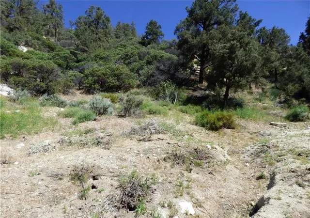 3rd image of 0 Escolon Trl, Frazier Park, CA 93225 | MLS# SR26047273