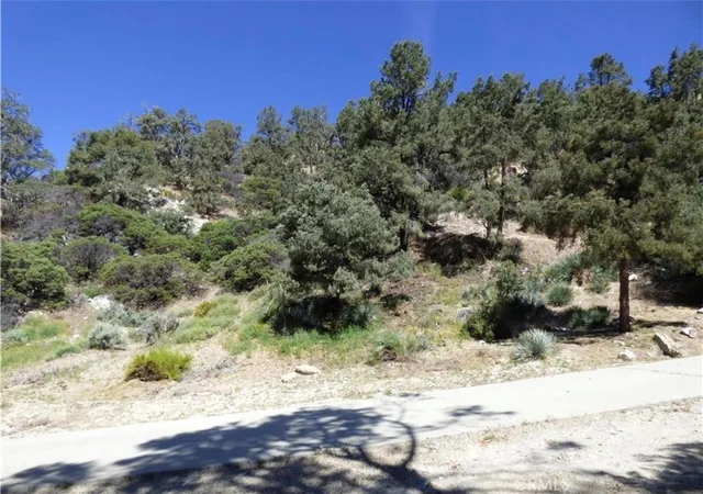 4th image of 0 Escolon Trl, Frazier Park, CA 93225 | MLS# SR26047273