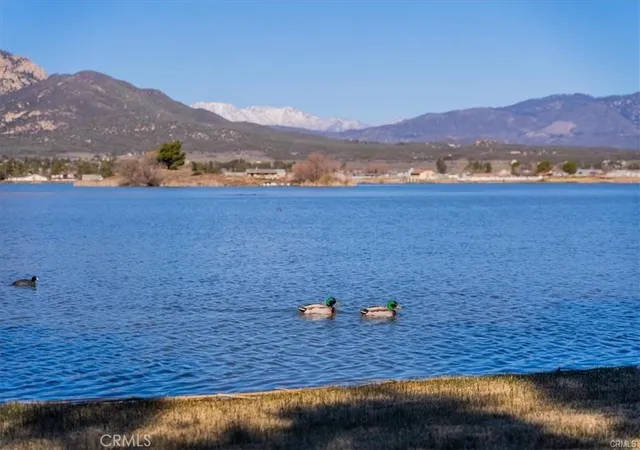 5th image of 133 Lakeshore Blvd, Aguanga, CA 92536 | MLS# OC26047690