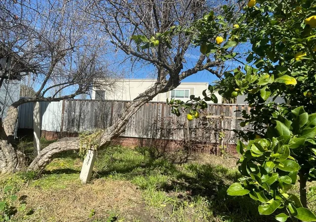 4th image of 516 Bird Ave, San Jose, CA 95125 | MLS# ML82037319