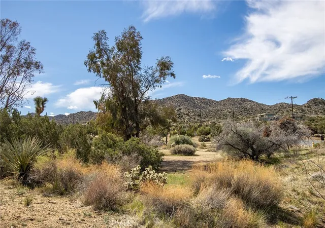 20th image of 9486 Carmelita Cir, Yucca Valley, CA 92284 | MLS# JT26046332