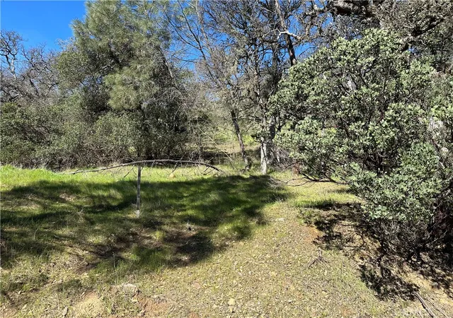 3rd image of 17509 Cache Creek, Clearlake Oaks, CA 95423 | MLS# LC26049497