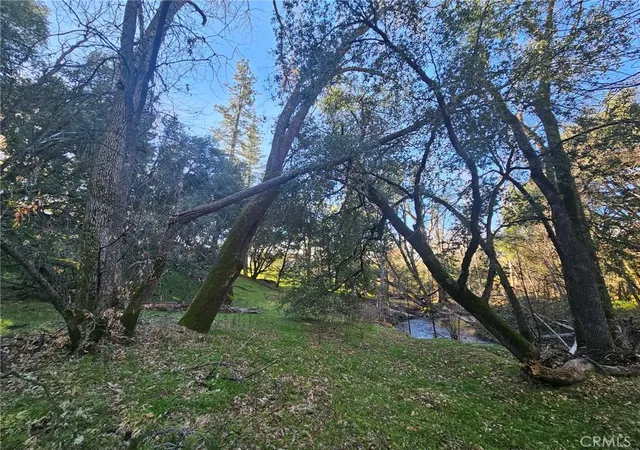 5th image of 8 Ac Road 225, North Fork, CA 93643 | MLS# FR26049419