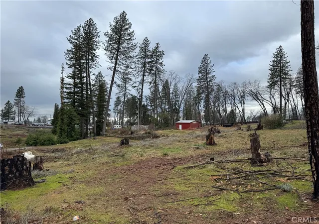 Photo 3 of Land for sale at 1037 Thomasson Ln, Paradise, CA 95969 | MLS# SN26049757 | Listing updated on 2026-03-06