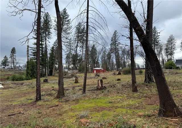 Photo 4 of Land for sale at 1037 Thomasson Ln, Paradise, CA 95969 | MLS# SN26049757 | Listing updated on 2026-03-06