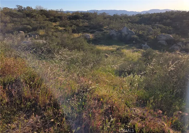 16th image of 1007 Roan Way, Aguanga, CA 92536 | MLS# SW26049808