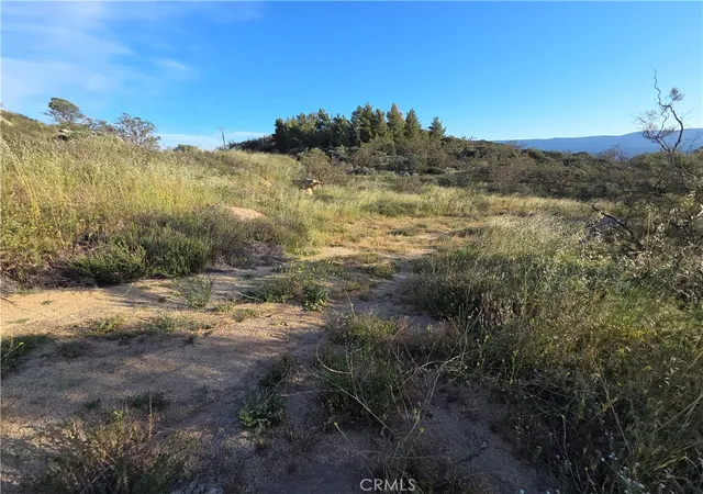 1st image of 1007 Roan Way, Aguanga, CA 92536 | MLS# SW26049808