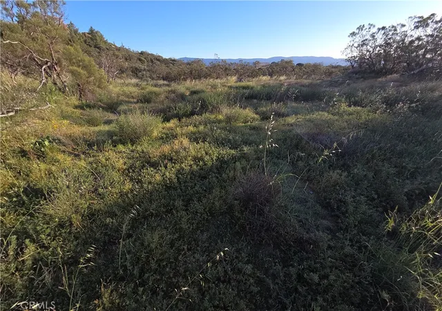 2nd image of 1007 Roan Way, Aguanga, CA 92536 | MLS# SW26049808