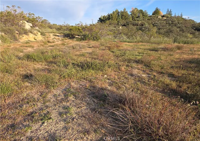 3rd image of 1007 Roan Way, Aguanga, CA 92536 | MLS# SW26049808