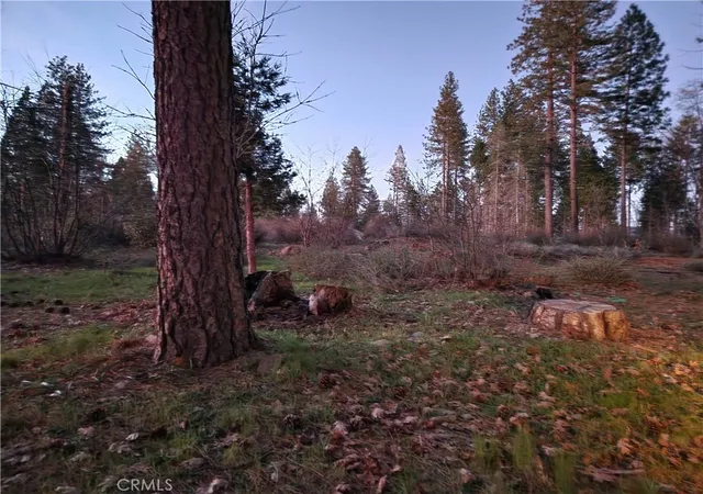 2nd image of 14302 Skyway, Magalia, CA 95954 | MLS# SN26050666