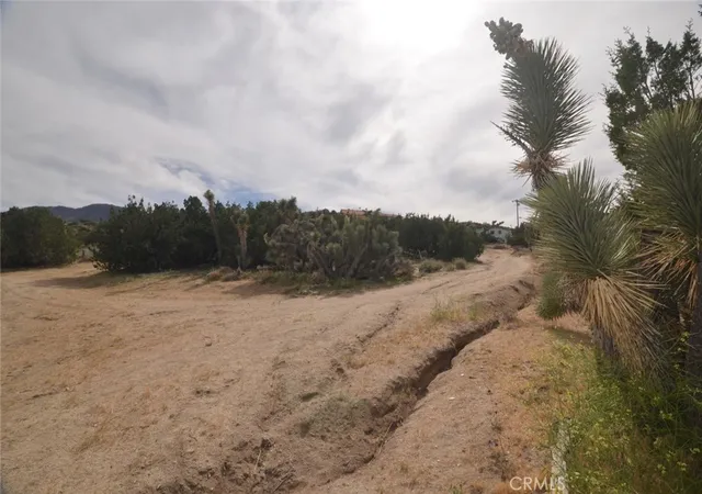 Photo 2 of Land for sale at 0 Longview X Old Homestead, Pearblossom, CA 93553 | MLS# SR26050622 | Listing updated on 2026-04-13