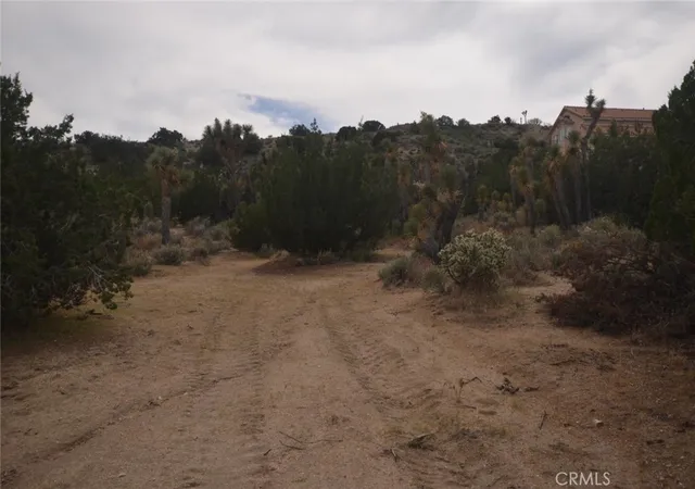 Photo 4 of Land for sale at 0 Longview X Old Homestead, Pearblossom, CA 93553 | MLS# SR26050622 | Listing updated on 2026-04-13