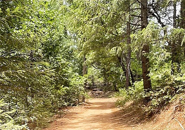 2nd image of 15052 Red Hill Spring Rd, Nevada City, CA 95959 | MLS# PI26051668
